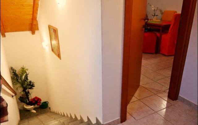 Apartment Emanuela Rovinjsko Selo Buitenkant foto