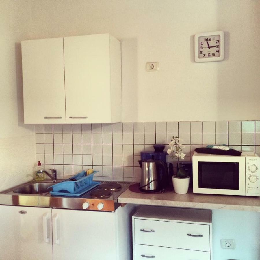 Apartment Emanuela Rovinjsko Selo Buitenkant foto